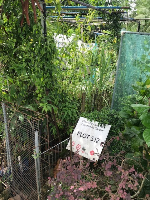 Garden of Kindness